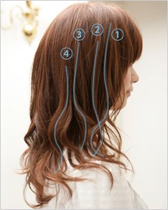 DIY2010ж̾ ϵ