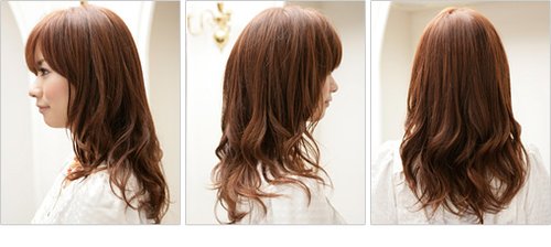 DIY2010ж̾ ϵ